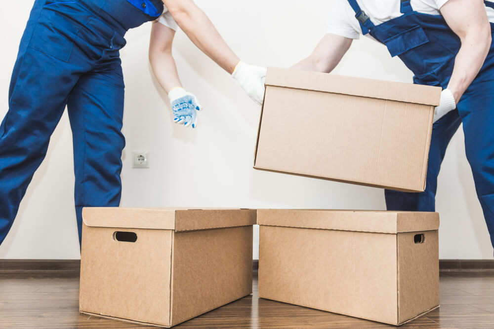 Packing Companies Near Me&nbsp;New Rochelle